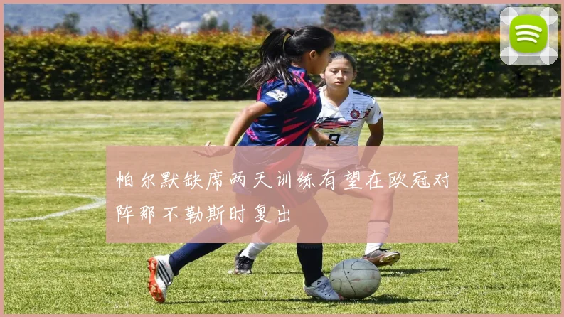 帕尔默缺席两天训练有望在欧冠对阵那不勒斯时复出