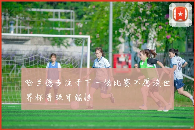 哈兰德专注于下一场比赛不愿谈世界杯晋级可能性